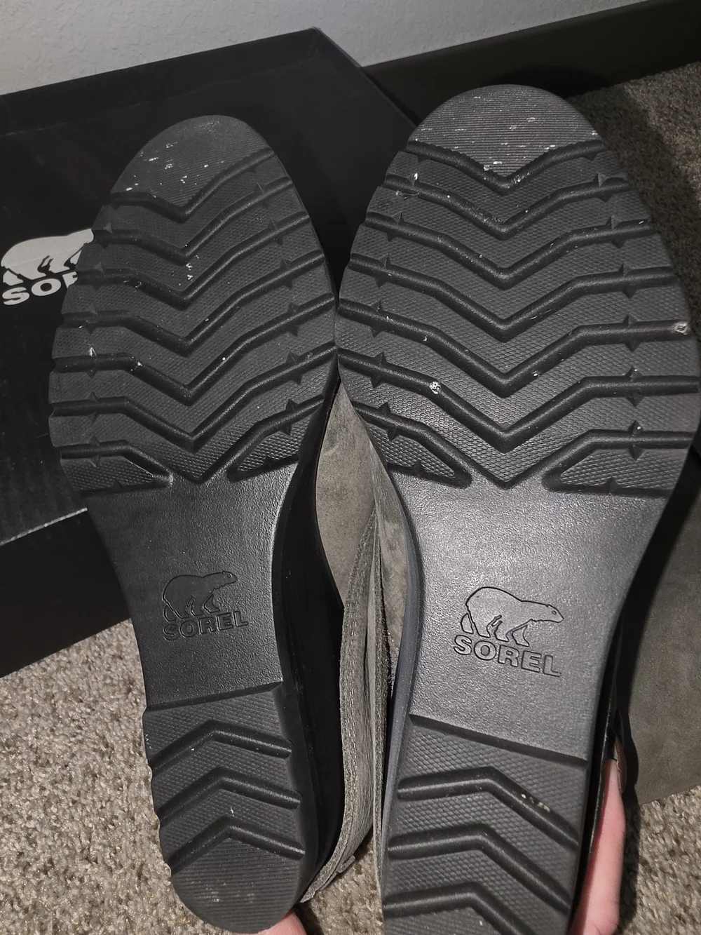 Sorel After Hours Tall Boot in Quarry